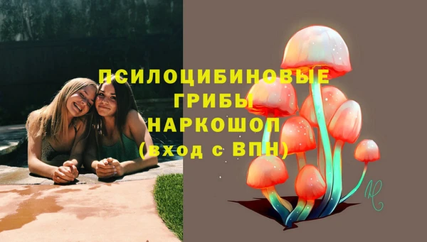 МДПВ Горно-Алтайск