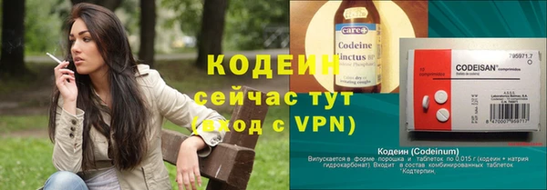 МДПВ Вяземский