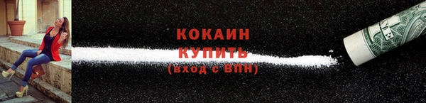 МДПВ Вяземский