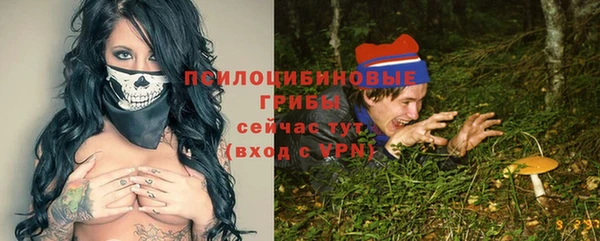 МДПВ Горно-Алтайск
