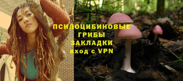 МДПВ Горно-Алтайск