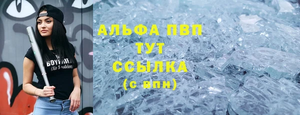 крисы Вязьма