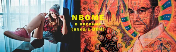 крисы Вязьма