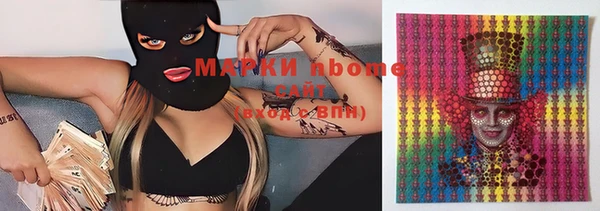 крисы Вязьма