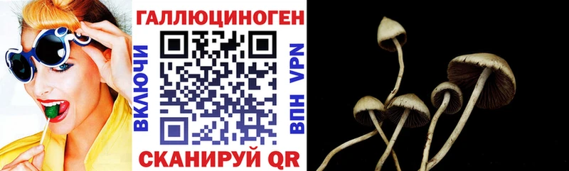 ссылка на мегу сайт  Северодвинск  Галлюциногенные грибы Psilocybe 